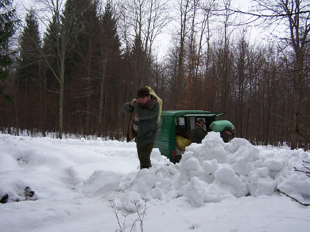 Dokarmianie 15.01.2011