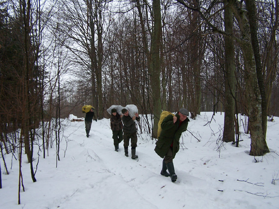 Dokarmianie 15.01.2011