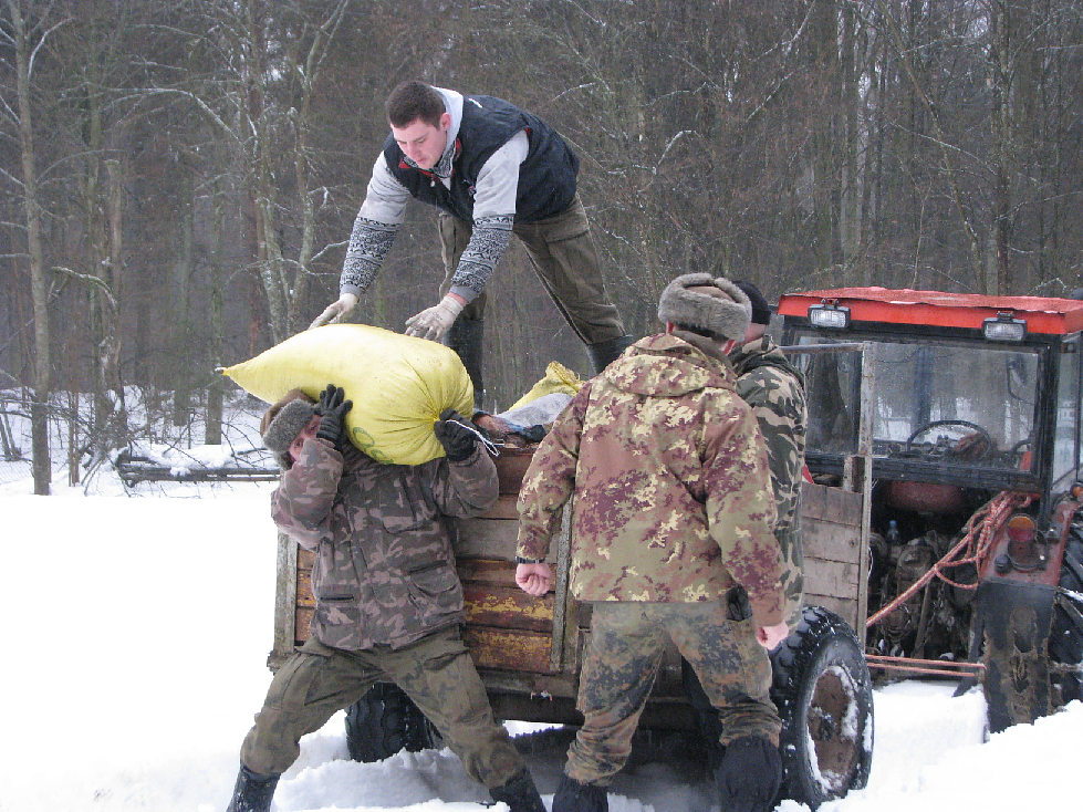 Dokarmianie 15.01.2011