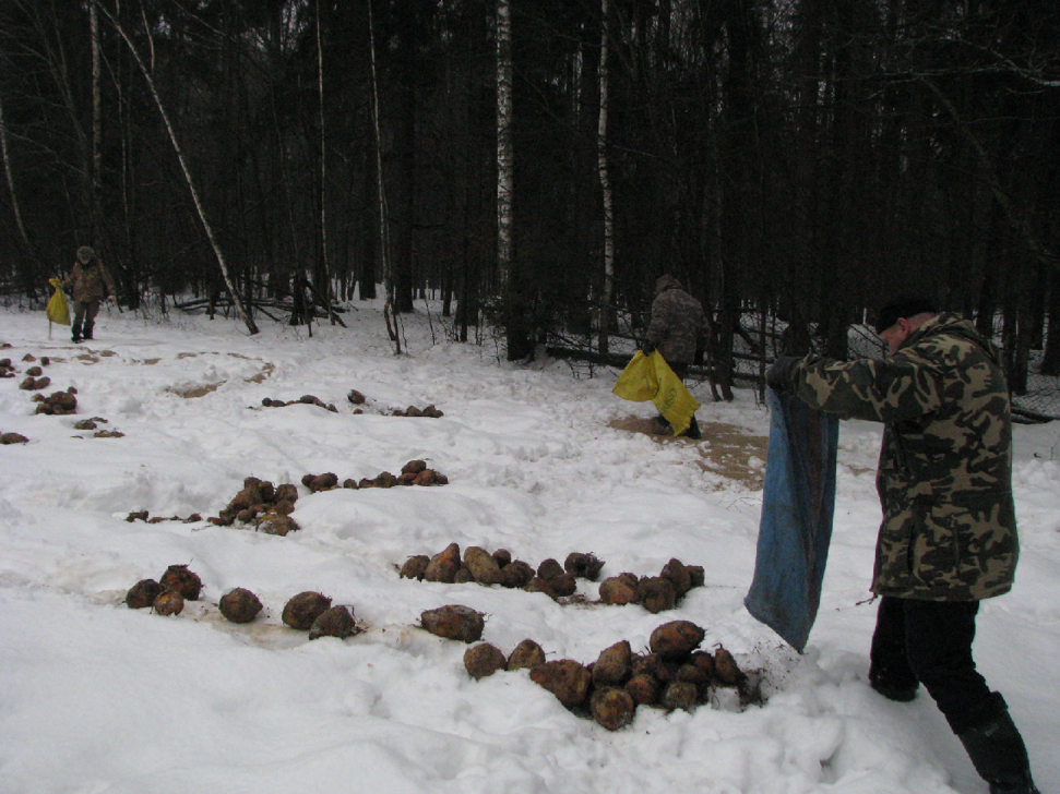 Dokarmianie 15.01.2011