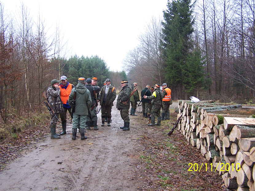 Rypawka 20.11.2010