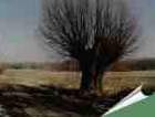Przedwio�nie