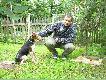 Ostatnio strzelony lisek. 