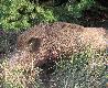 wydawa�o mi si� �e jest wi�kszy, w skupie 58kg