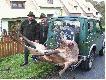 Suzuki Samuraj to najlepszy samoch�d terenowy w g�ry. �wietnie si� sprawdza w �owiectwie. Stoimy ko�o domu te�cia Alka, r�wnie� my�liwego...