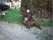 Dziczek strzelony o �wicie na wiosne 26.04.2003.