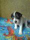 Ma�lane spojrzenie....... :)