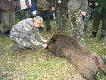 Ostatni k�s ...