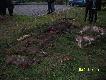 Brakuje jeszcze jednego.Tego najwi�kszego ody�ca.