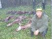 Autor zdj��-Hubertus 56:)