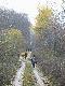 Koniec p�dzenia