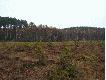 Trzeci miot:
2-jelenie (�ania i ciele), 1-lis 