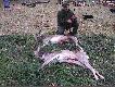 KOL DANIEL PRZY SWOIM BYKU PIERWSZY OD DO�U...