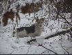Maniek..wyprowdzi� tego ody�ca na lini�