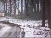 kol.Adam na stanowisku,mia�y tu by� dziki ale nic z tych obietnic nie wysz�o.