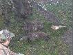  Skromny pokot:)))