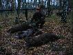 Polowanie Hubertowskie 2007
Na polowaniu Hubertowskim w dniu 03.11.2007r strzeli�em tripleta w tym jeden dzik �aciaty