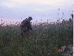 Co to za polowanie? W odstrzale mia�em 3 dziki i 3 rogacze, rogacze same pcha�y si� pod luf� , jakby wiedzia�y �e przyjecha�em na bezkrwawe �owy. Tak to jest z kobietami zamiast polowa� zrywa�em dla niej kwiaty.