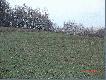 Na pe�nym biegu