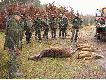 Pokot po polowaniu wigilijnym w ubieg�ym sezonie