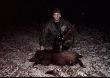 Warchlak 27kg amunicja ,,Grom" Priv Partizan kal.308W strzelony w m.Grunwald