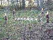 A to pokot kt�rym obdarzy� nas �w. Hubert w swoim dniu.