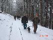 W�dr�wka na kolejny miot