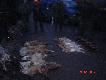 Czy� nie imponuj�cy pokot, po mimo pewnych uchybie�