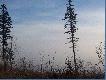 Mia� by� widok na Kotline... 