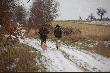 By�o bardzo zimno, co widac po minach. Psiaki zadowolone!