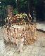 Wieniec byka taty z roku 2002. Waga tuszy 133kg, wie�ca ok 4kg. Wiek 6 lat. 
