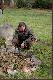 Le�niczy pan Maciej ko�lecki