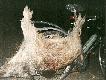 Podstawowy �rodek transportu.