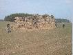 Obstawiany ,,st�g''
