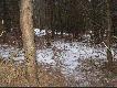 Zmora mojego lowiska
W sobote przebywajac na polowaniu natrafilem na duza ilosc zastawionych wnyk�w. Jest to zmora mojego lowiska, kt�re jest toczone po PGRowskimi wioskami.
