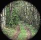 Zaj�c mo�e ma�o widoczny, ale to by�o kr�tkie spotkanie...
