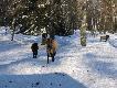 Bia�owie�a- rezerwat pokazowy
Rezerwat pokazowy w Bia�owie�y. Bardzo ciekawe miejsce. Pieknie zagospodarowane, cho� poszczeg�lne zagrody mog�yby by� wi�ksze.

W weekend obszerny opis!!!