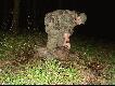 Latarka w z�by i  do roboty :-)