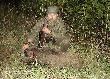 Nie ma to-tamto  strza� nieco lepszy niz ostatnio :-)