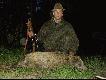 Trzeci dzik w tym sezonie,a dziesi�ty w �yciu.Strzelony 14.05.2008 o godz 3.50.