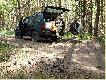 Troch� pracy wczoraj mia�em. Rozsypa�em kukurydz� na pasach zaporowych , w sumie 4 pasy po ok. 300 m . ka�dy.