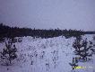 A tak b�d� wyglada� jak podrosn�