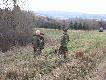 BIESZCZADY