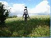 Owsiany sezon rozpocz�ty.