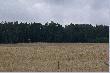 Pozdrawiam Bra� My�liwsk� "ROGACZA" Kle�niska i Darz Im B�r.