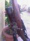 Bro� mojego tatki... Mosin 1945r i nowy nabytek MEOPTA  7*56..:-) :-)