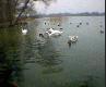 Kiekrz, jezioro Kierskie 27.03.2005.