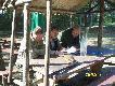 Podliczanie wynik�w trwa.