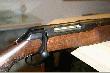 Sauer Wolverine
Varmint w 243win. Lufa 65cm.