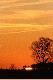 ...i zasz�o ogni�cie...
